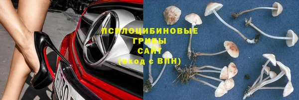 ГАЛЛЮЦИНОГЕННЫЕ ГРИБЫ Волосово